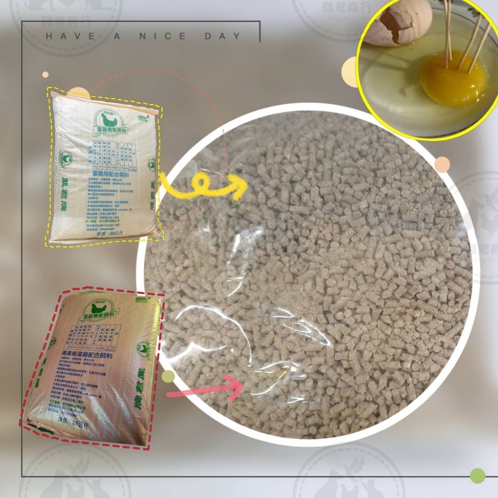鳳君牌 加強特別版 蛋雞飼料 2kg