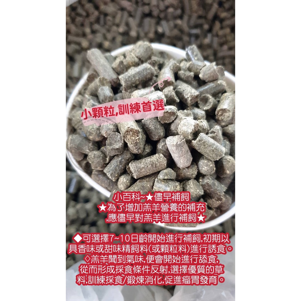 特級苜蓿粒