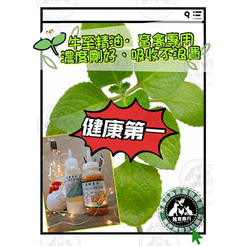 鴿禽用 牛至精油 大罐 1公升