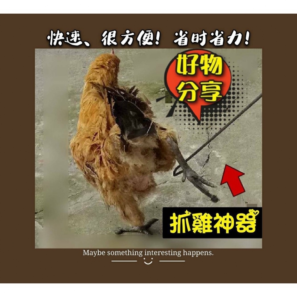 專業好物 抓雞神器 手持長桿