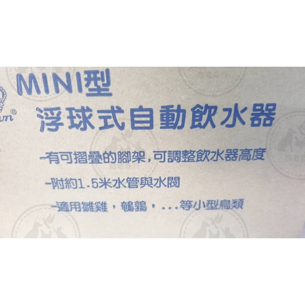 小雞迷你自動給水器(現貨量不一定可能需預購)