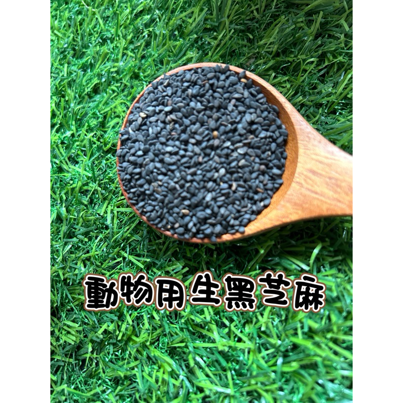 動物用 生黑芝麻籽
