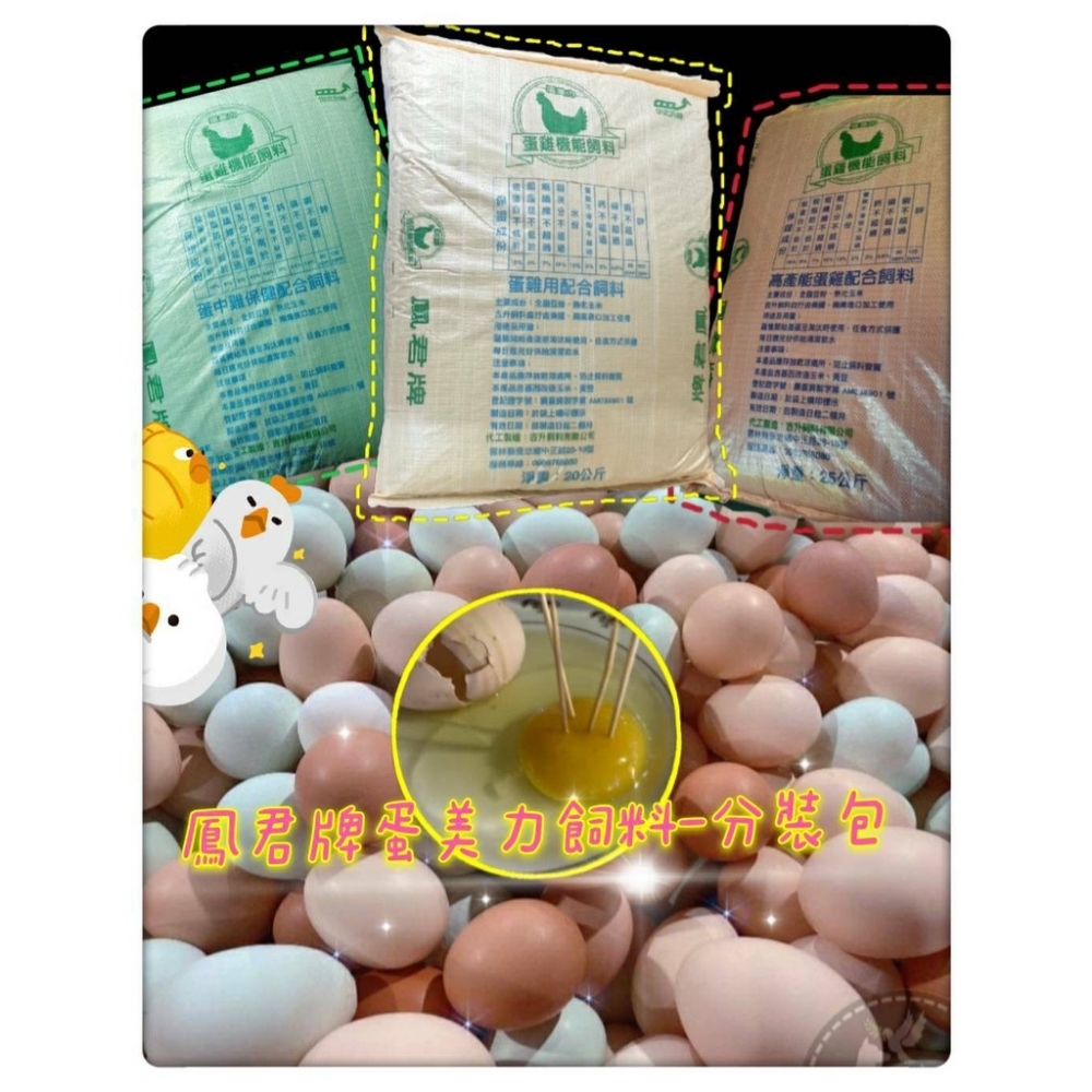 鳳君(黃)濃縮營養版-蛋雞飼料 加強版本 2kg