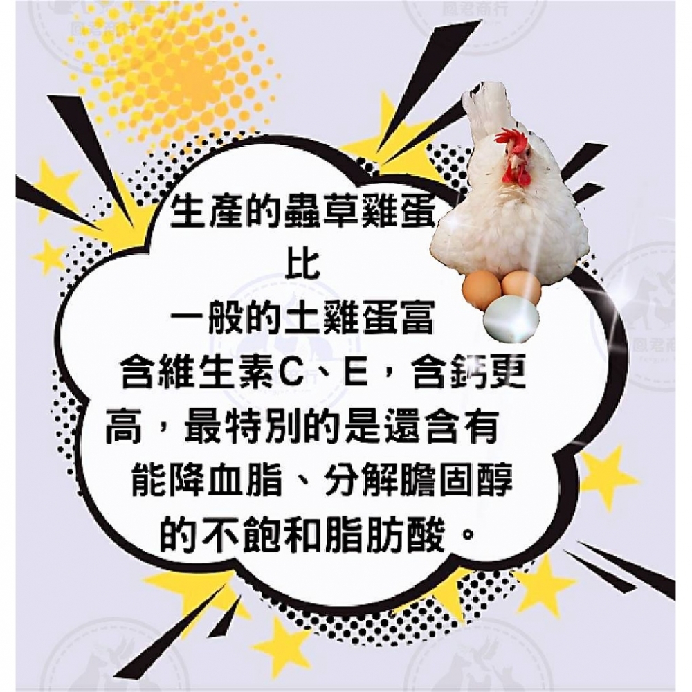 低膽固醇 蛹蟲草菌絲體