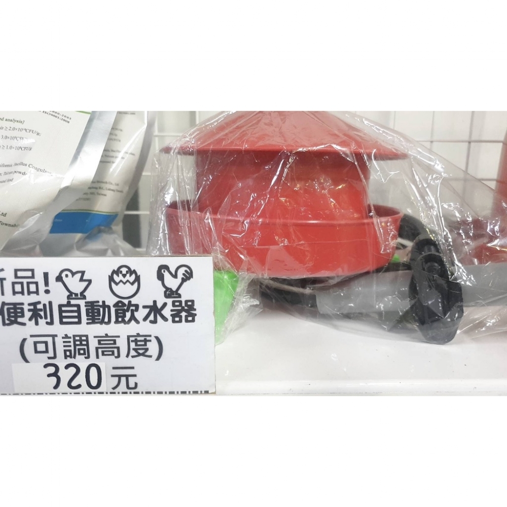 小雞迷你自動給水器(現貨量不一定可能需預購)