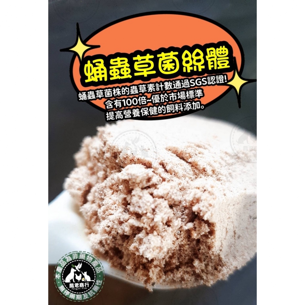 低膽固醇 蛹蟲草菌絲